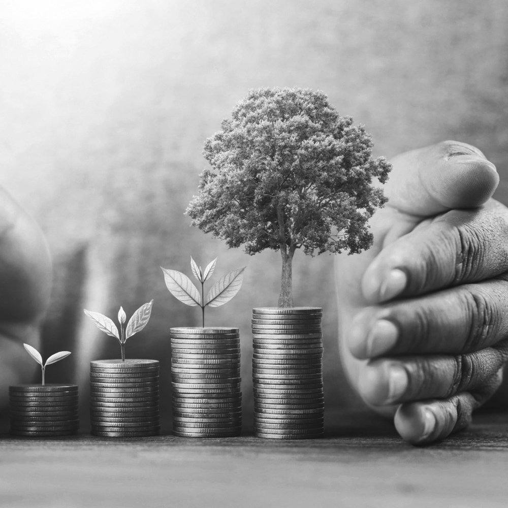 Why Choose Speedbitplus